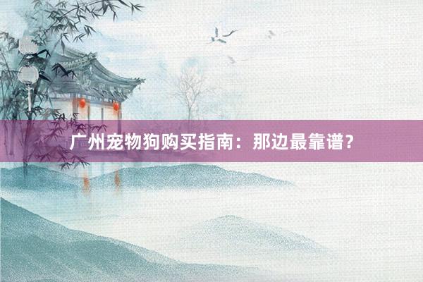 广州宠物狗购买指南：那边最靠谱？