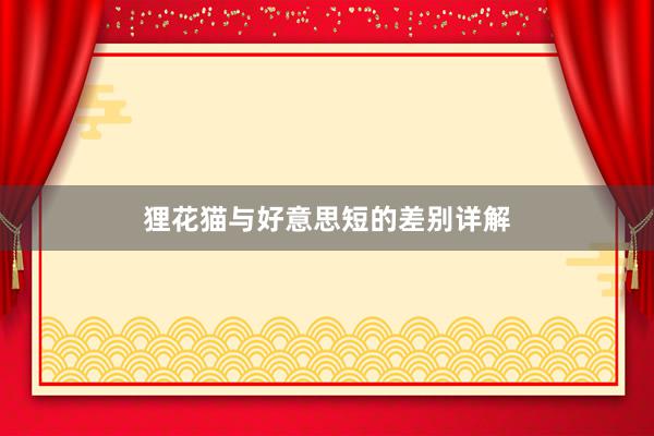 狸花猫与好意思短的差别详解
